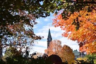 Fall foliage photography