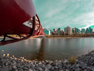 Steamboat cruises