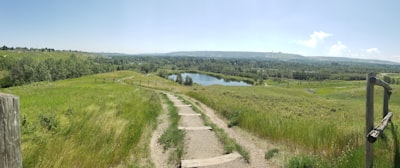 Walking and jogging pathways