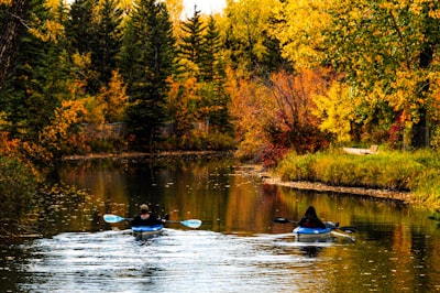 Paddleboating in summer