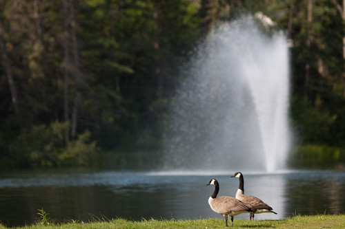 Bowness Park