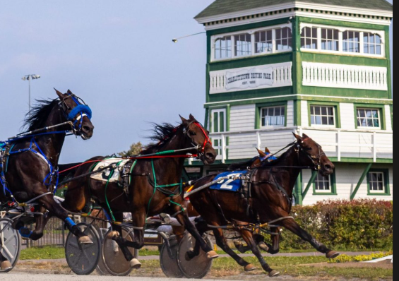 Red Shores Racetrack & Casino