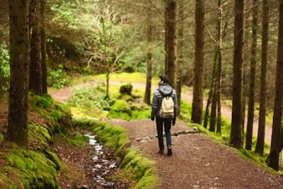 Scenic walks