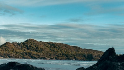 Whale watching from shore