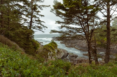 Boardwalk hiking