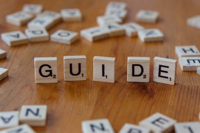Guided interpretation