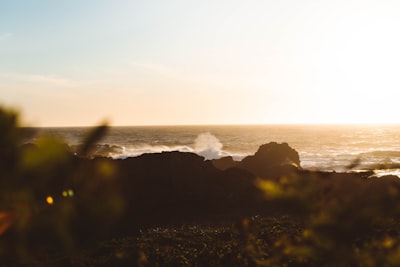 Sunset walks