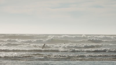 Surf lessons