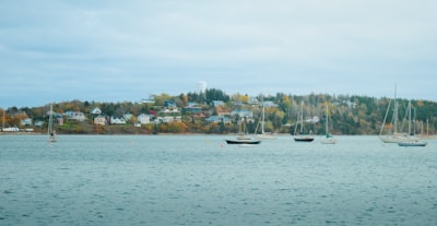 Sailing excursions