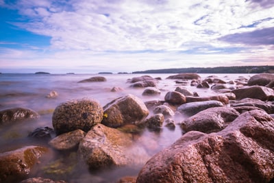 Exploring the rocky shoreline