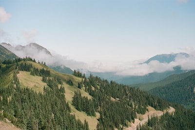 Scenic photography