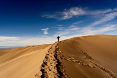Scenic walks along dune ridges