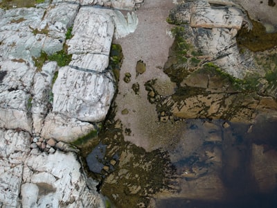 Sand and tidal pool exploration