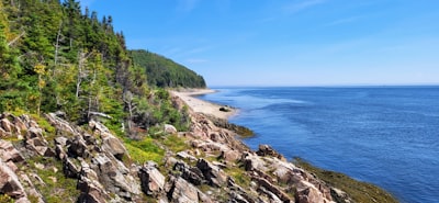 Shoreline strolling
