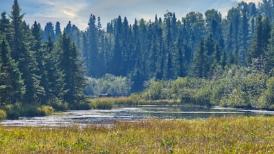 Nature interpretation
