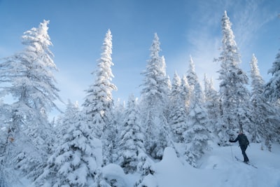 Snowshoeing