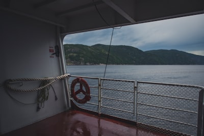 Fjord boat tours
