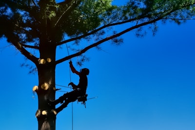 High ropes course