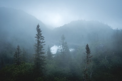Nature photography
