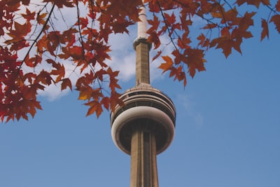 Join guided tours or audio tours