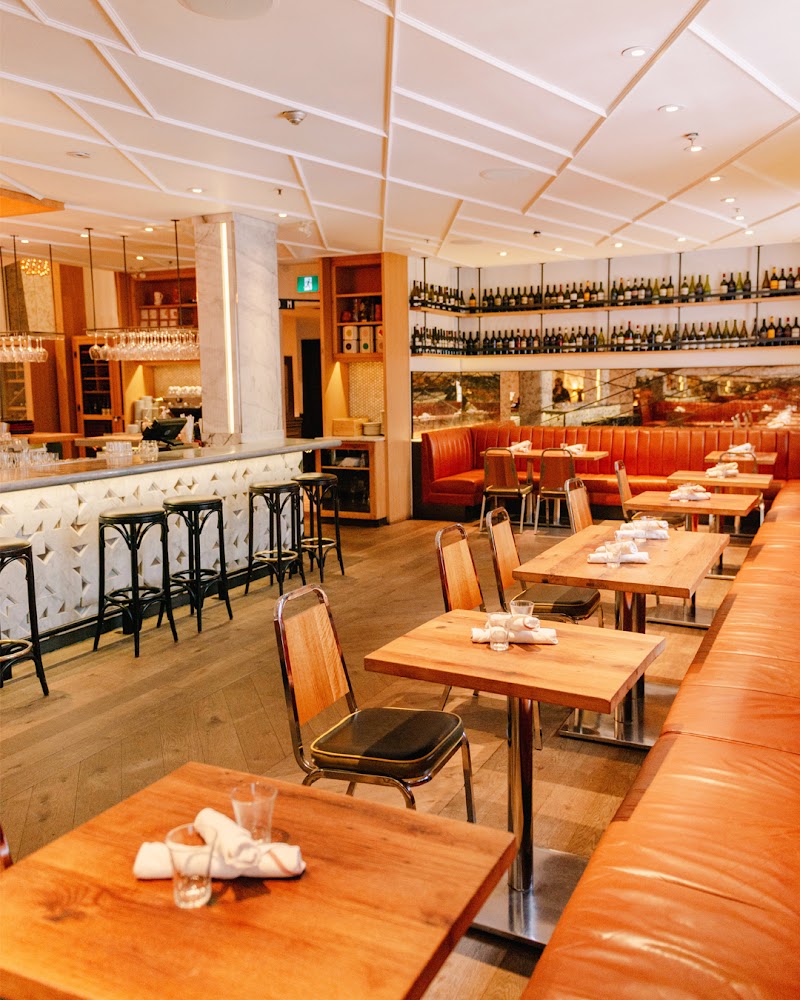 Terroni