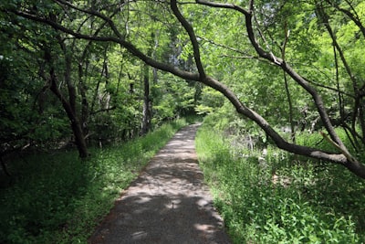 Walk trails and enjoy nature