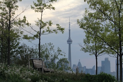 Picnic with skyline vistas