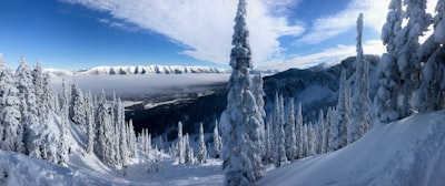 Snowboarding