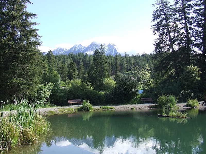 Kootenay Trout Hatchery & Visitor Centre