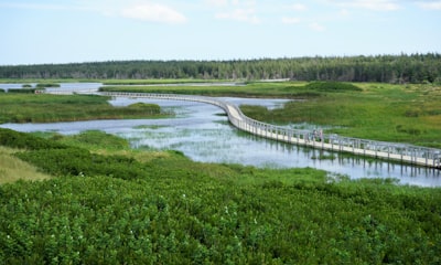 Attending Parks Canada interpretive programs