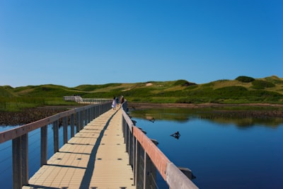 Birdwatching for shorebirds and herons