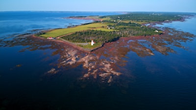 Attending seasonal interpretive programs