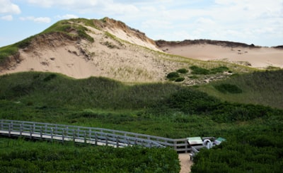 Birdwatching in dune habitat