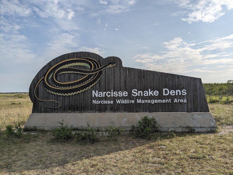 Narcisse Snake Dens