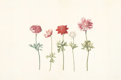 Botanical study
