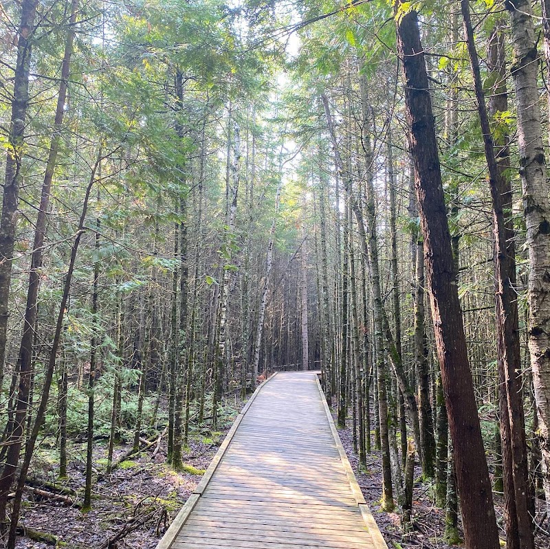 Brokenhead Wetland Interpretive Trail