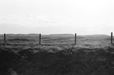Exploring multiple lookout points