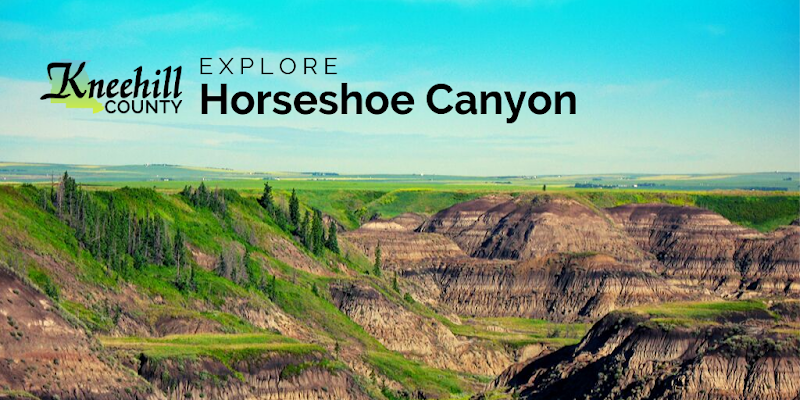 Horseshoe Canyon