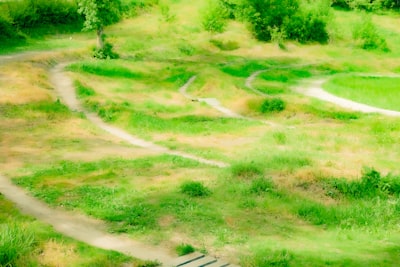Cycling on park trails