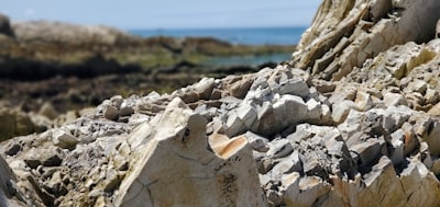 Geological exploration