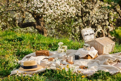 Picnicking