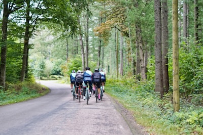Cycling trail 11