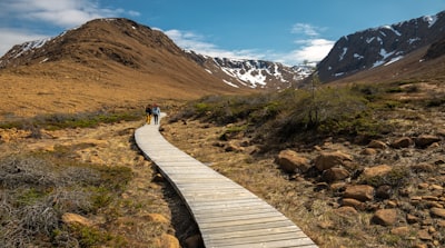 Guided walking tours