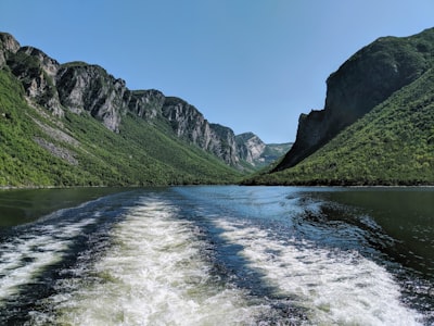 Guided fjord boat tour