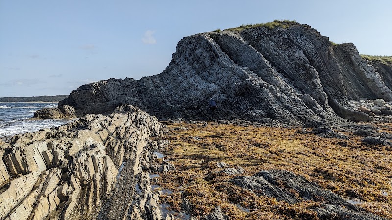 Gros Morne National Park - Green Point Geological Site