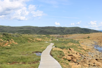 Dog-friendly trail walking