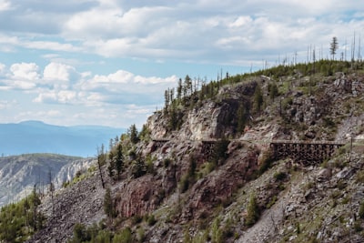 Mountain biking on varied trails
