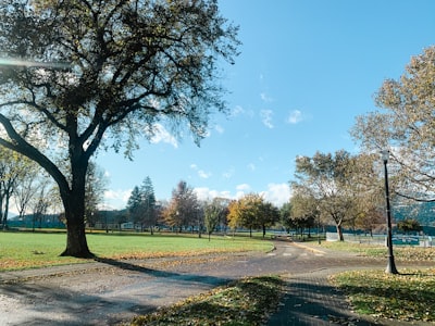 Picnicking on the grounds