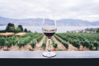 Wine tastings and pairings