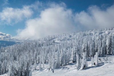 Skiing and snowboarding